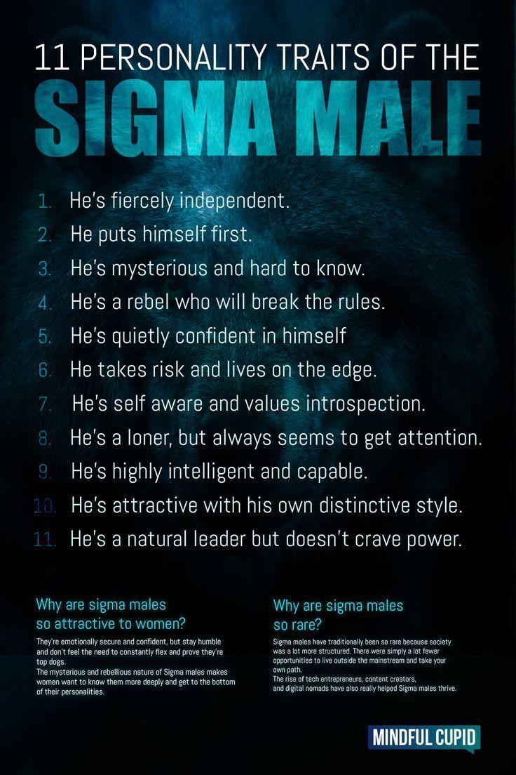 Sigma Male Wallpapers - Top Free Sigma Male Backgrounds - WallpaperAccess