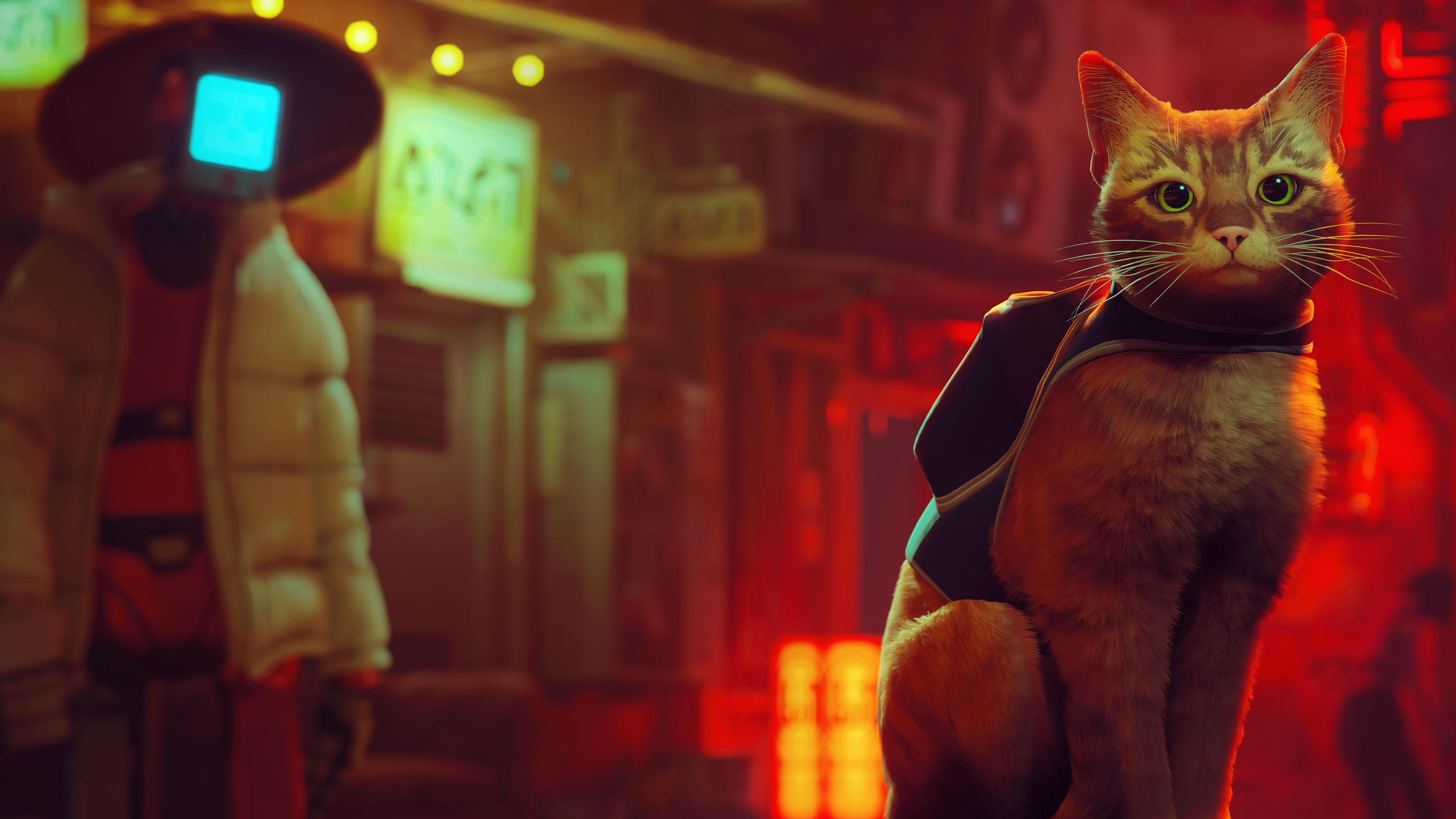 3840x2160 Stray HD Wallpaper and Background