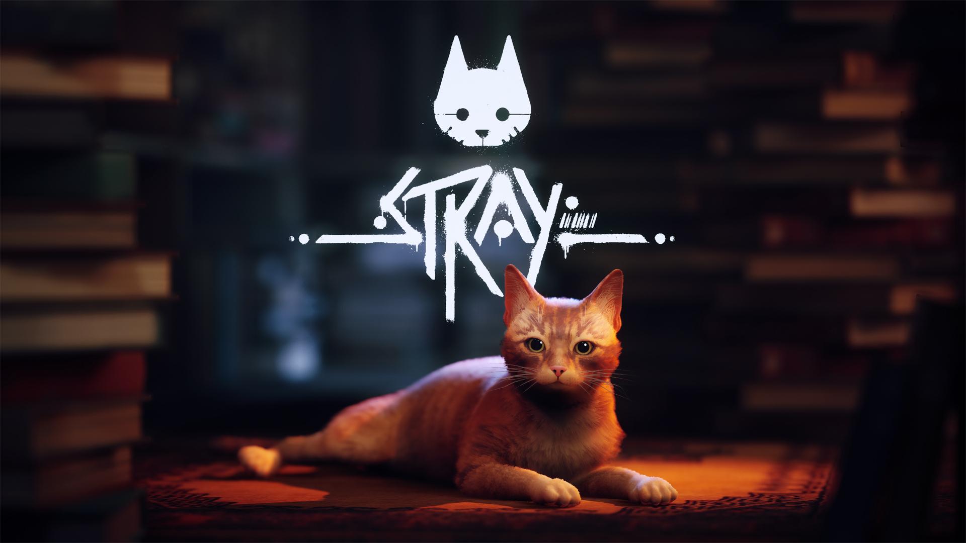 1920x1080 New Stray Gaming 2022 Wallpaper, HD Games 4K Wallpaper, Image, Photo and Background