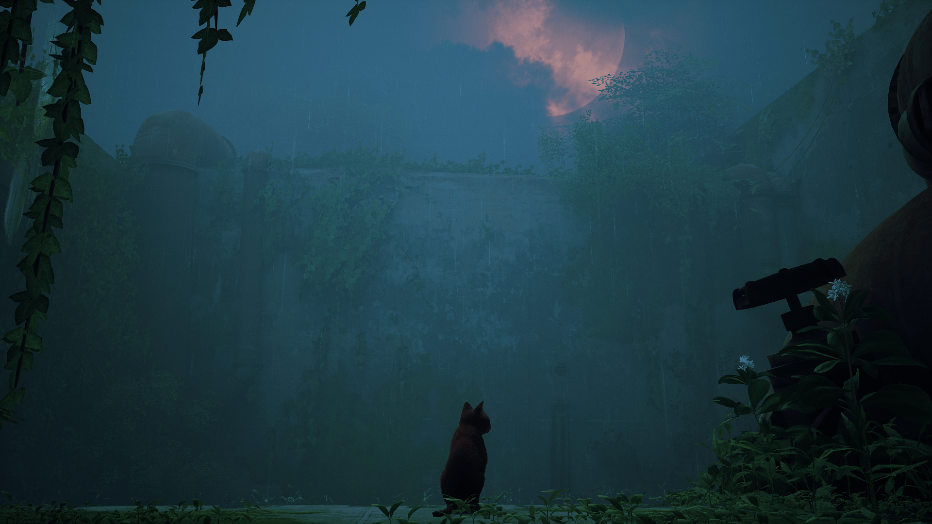 1920x1080 Stray Video Games PC Gaming Video Game Animals Wallpaper:1920x1080