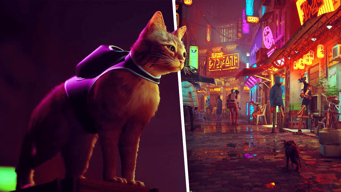 1196x673 Cat Stray Wallpaper