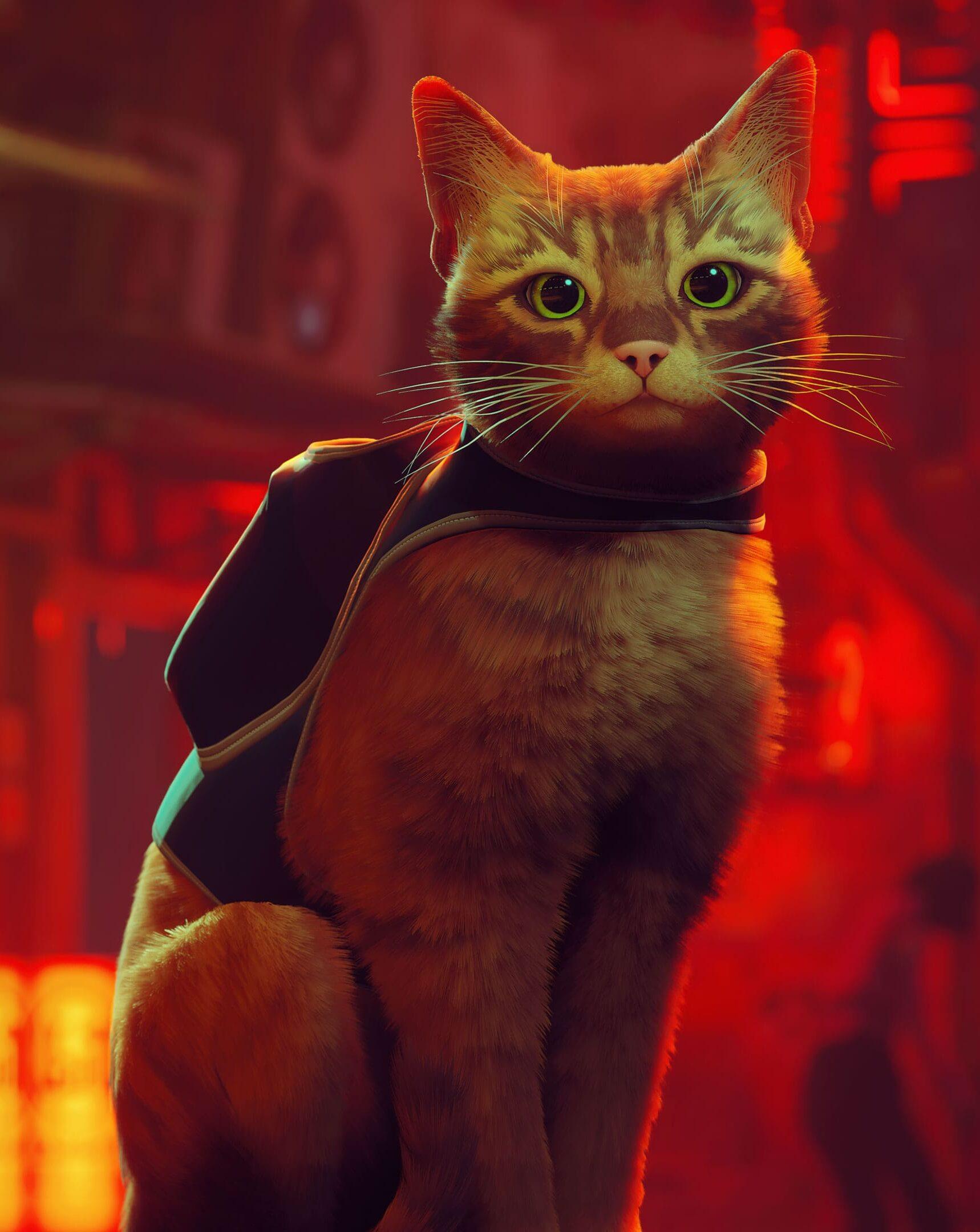 1718x2160 Stray Wallpaper