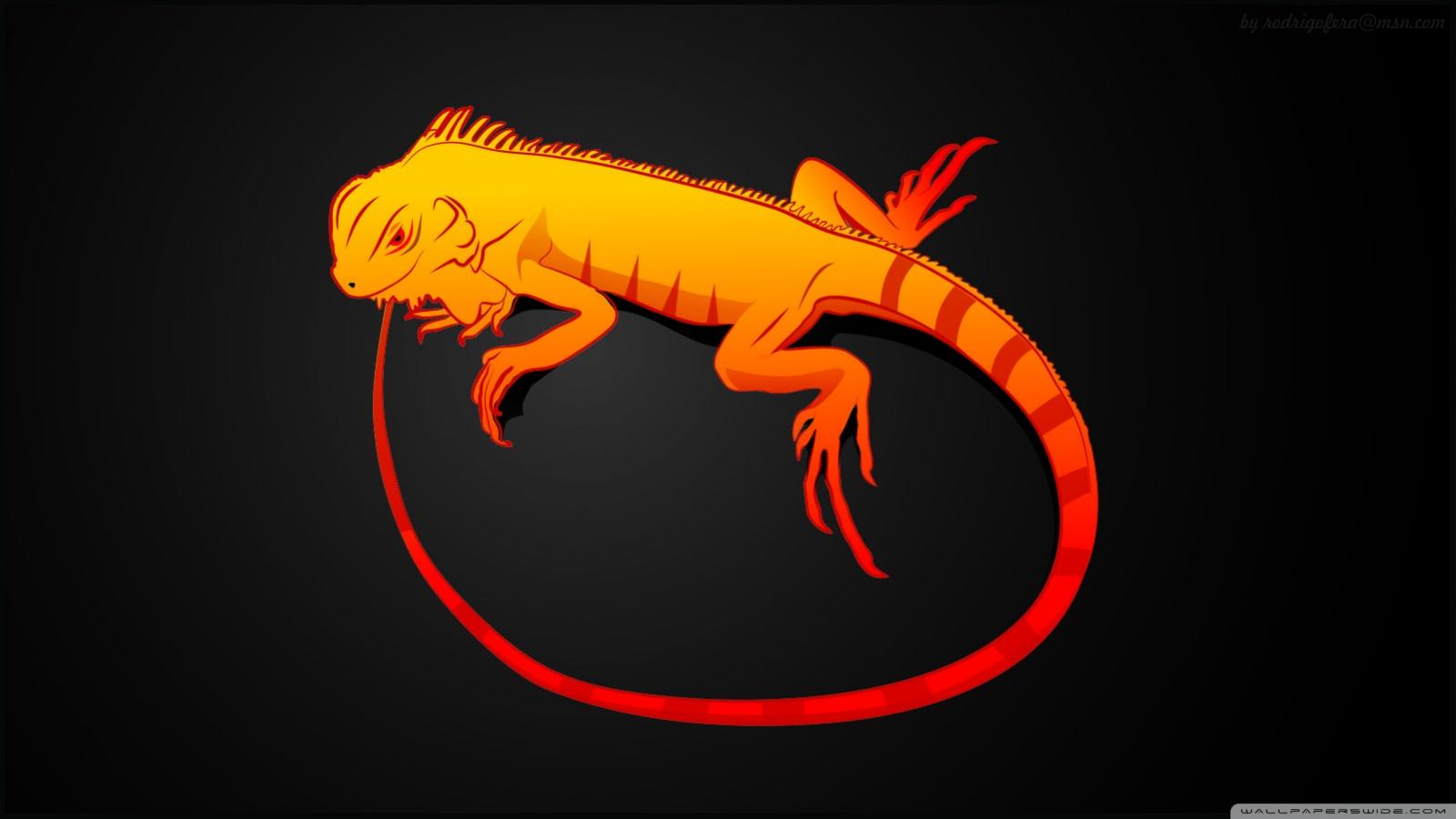 1600x900 Iguana Ultra HD Desktop Background Wallpaper for 4K UHD TV : Tablet