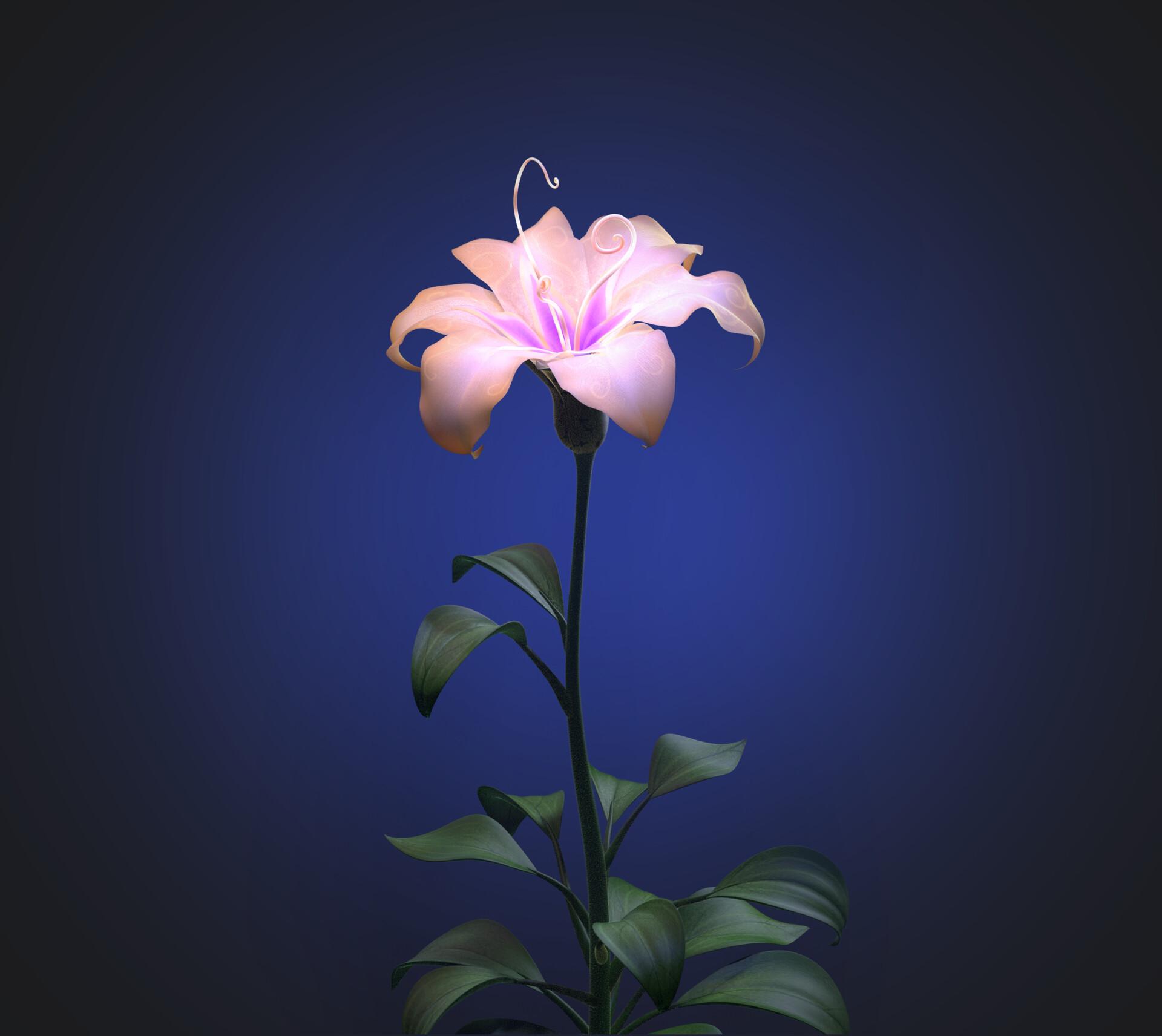 1920x1712 Shir Saig's Flower