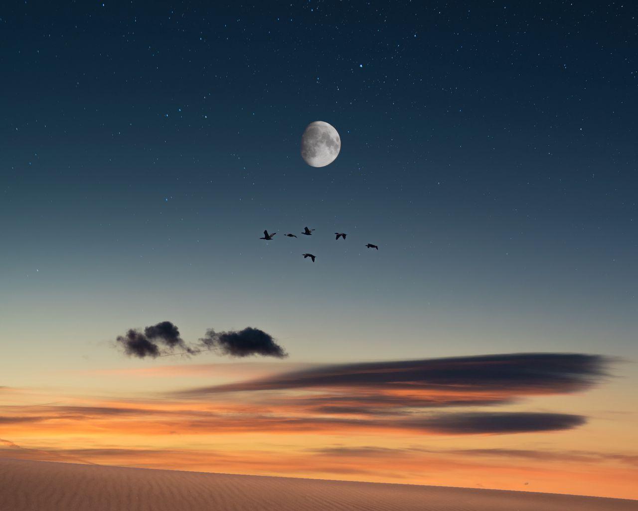 1280x1024 Download wallpaper 1280x1024 full moon, birds, desert, starry sky standard 5:4 HD background
