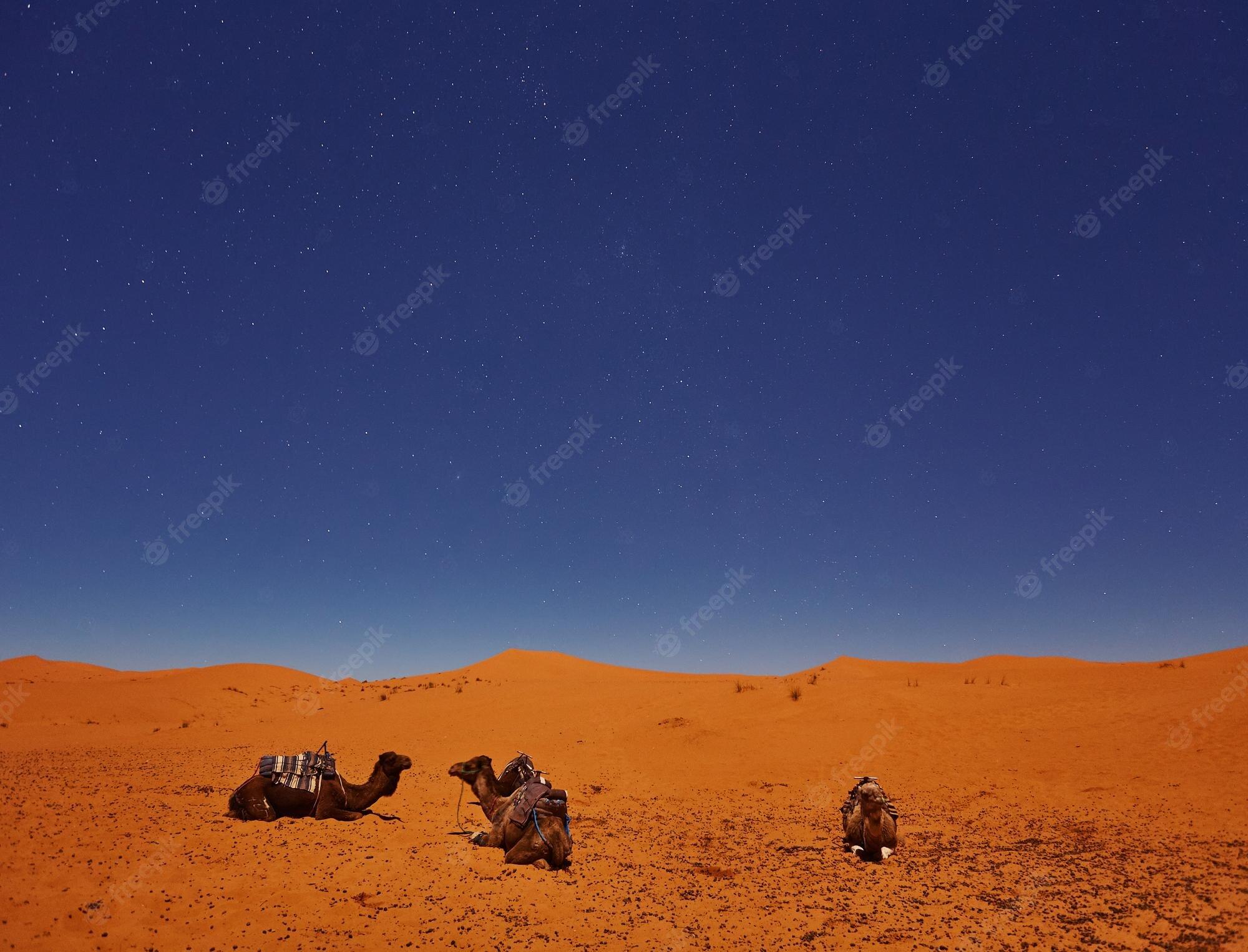 2000x1527 Desert Sunset Wallpaper Image. Free Vectors, & PSD