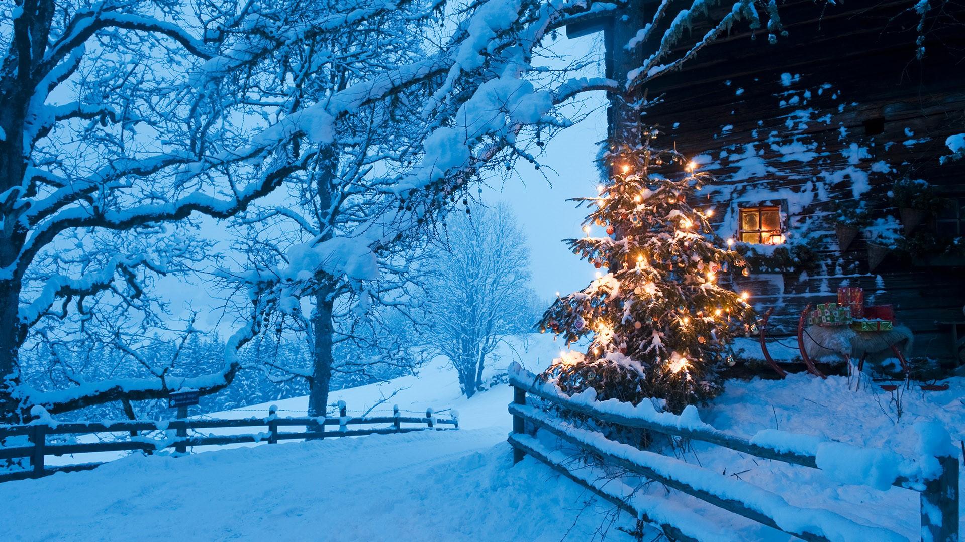 1920x1080 Illuminated Christmas tree with sleigh in front of alpine hut at dusk, Flachau, Salzburg Country, Austria. Windows 10 Spotlight Image