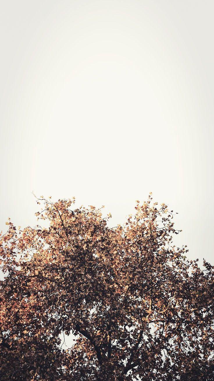 736x1308 Gorgeous Happy Fall iPhone X Wallpaper. Polaroids
