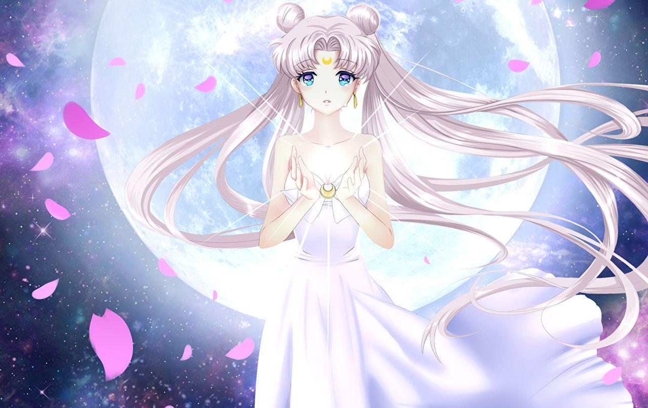 1280x807 Picture Sailor Moon Skirt neko yanshoujie touhou hakurei reimu