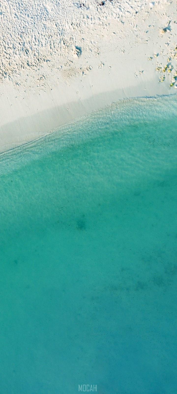 720x1600 alt HD wallpaper, Background