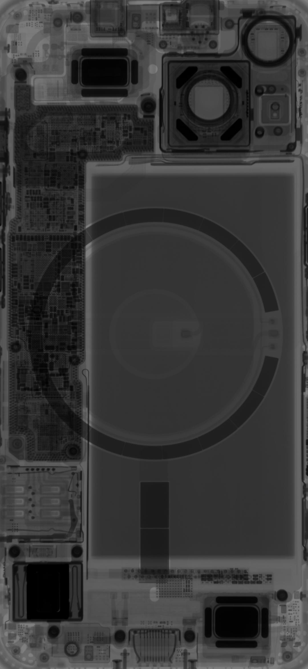 1080x2340 iPhone 13 and iPhone mini Teardown Wallpaper