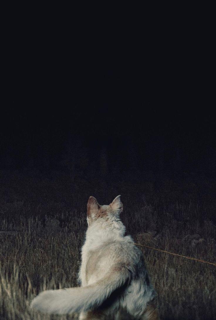 736x1090 It Comes at Night. Wallpaper, Phone wallpaper, Things to come