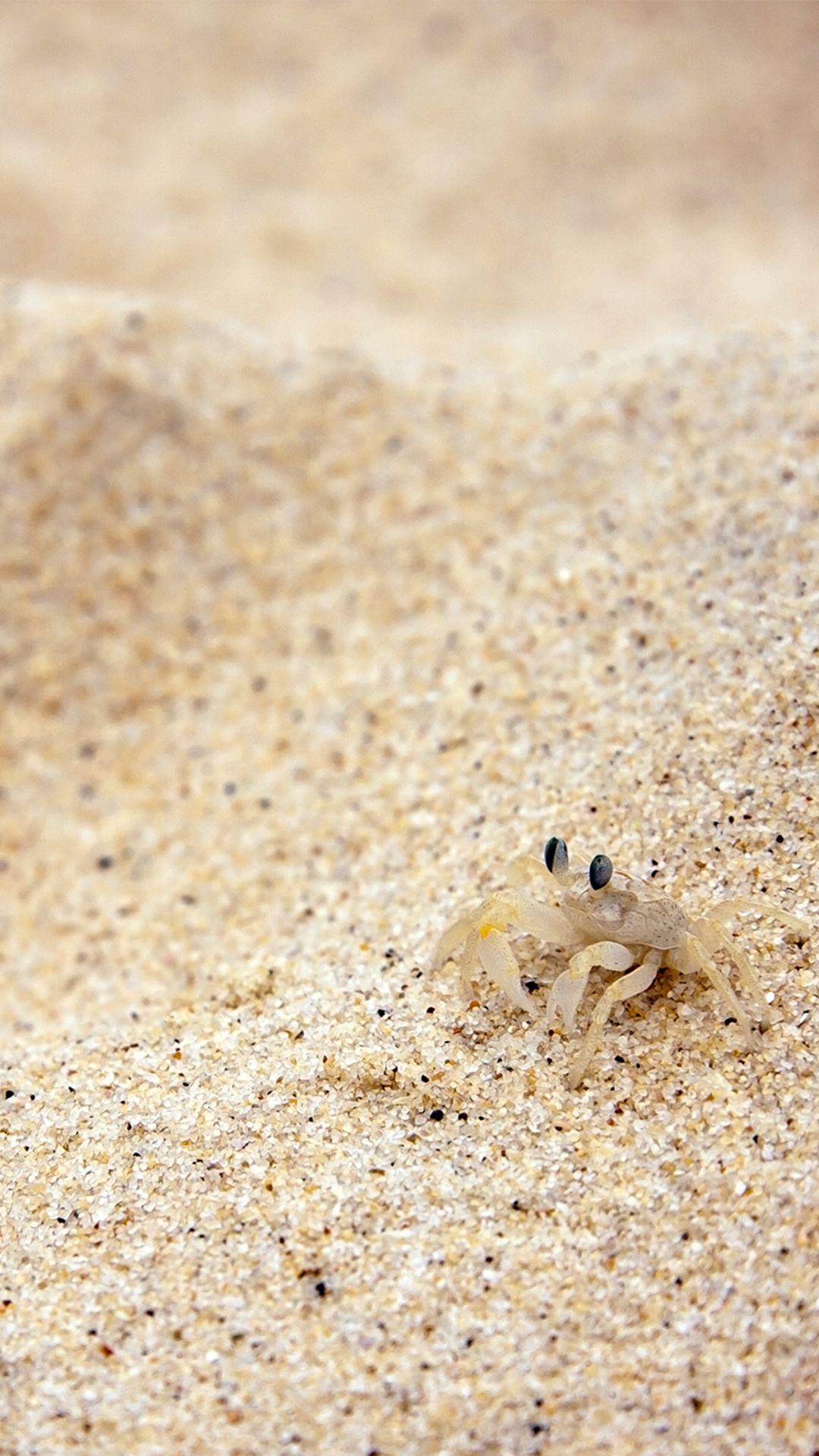 1080x1920 Beach Sand Crab #iPhone #plus #Wallpaper. iPhone 6 wallpaper, Android wallpaper, iPhone 5s wallpaper