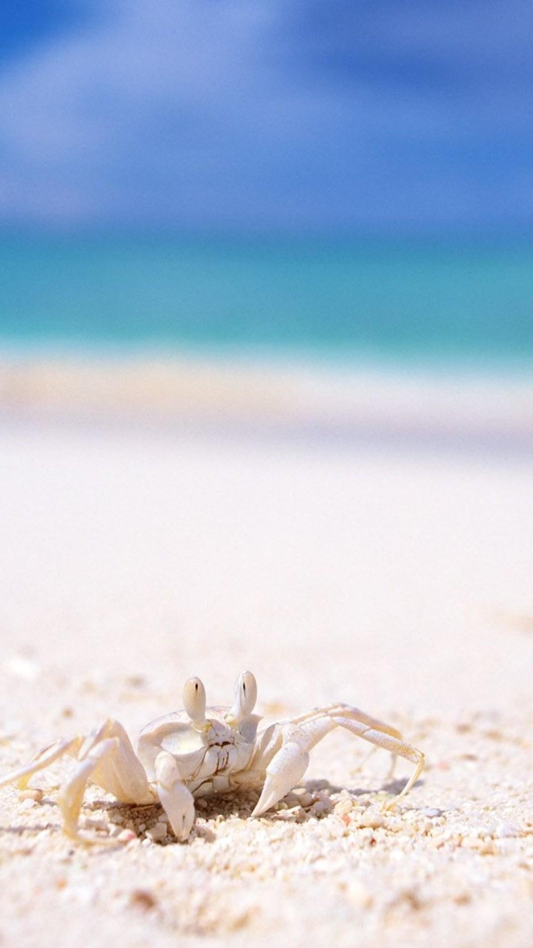1080x1920 Ghost Crab HD Wallpaper iPhone 6 / 6S Plus