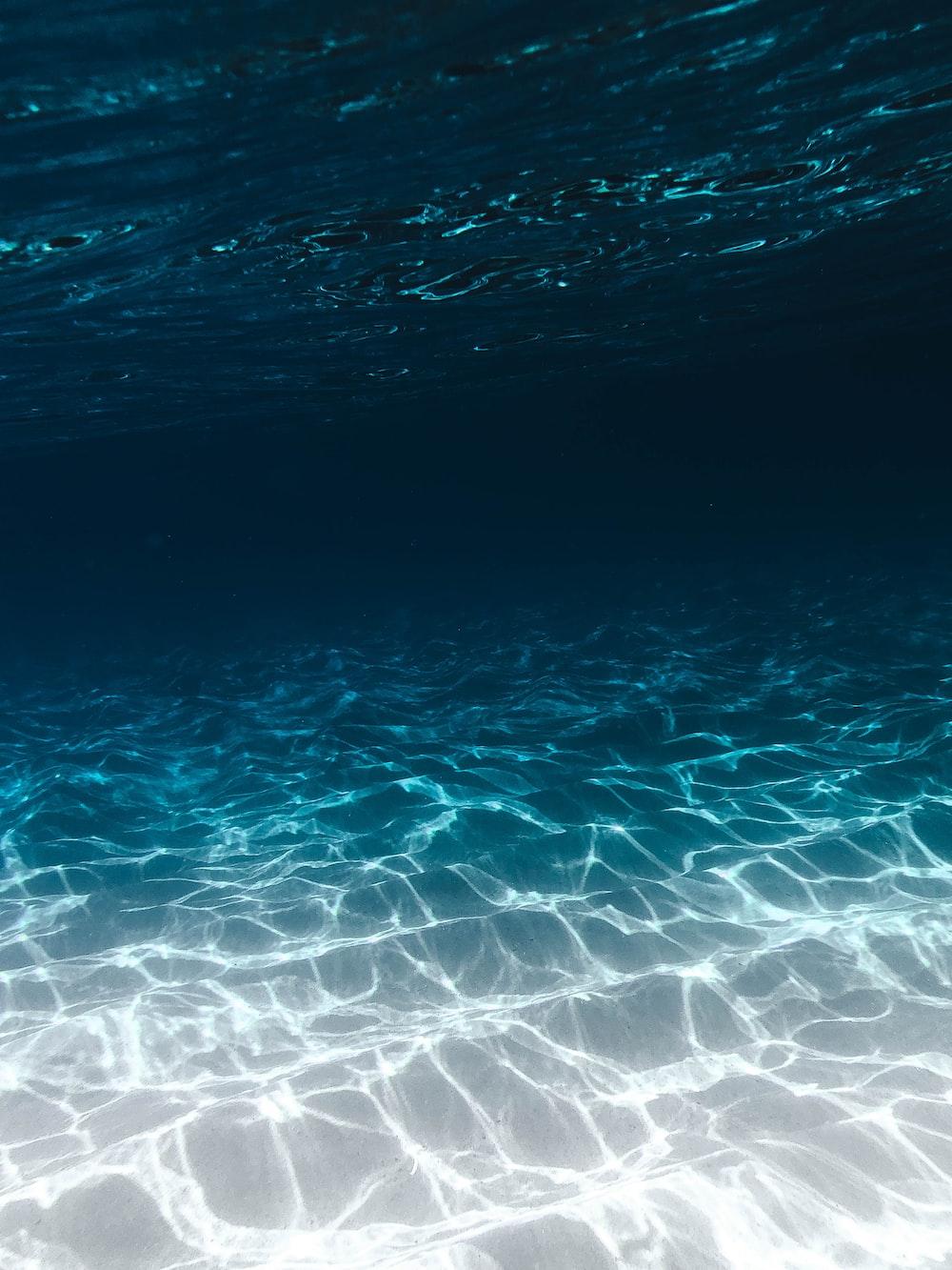 1000x1333 Deep Sea Picture [HD]. Download Free Image