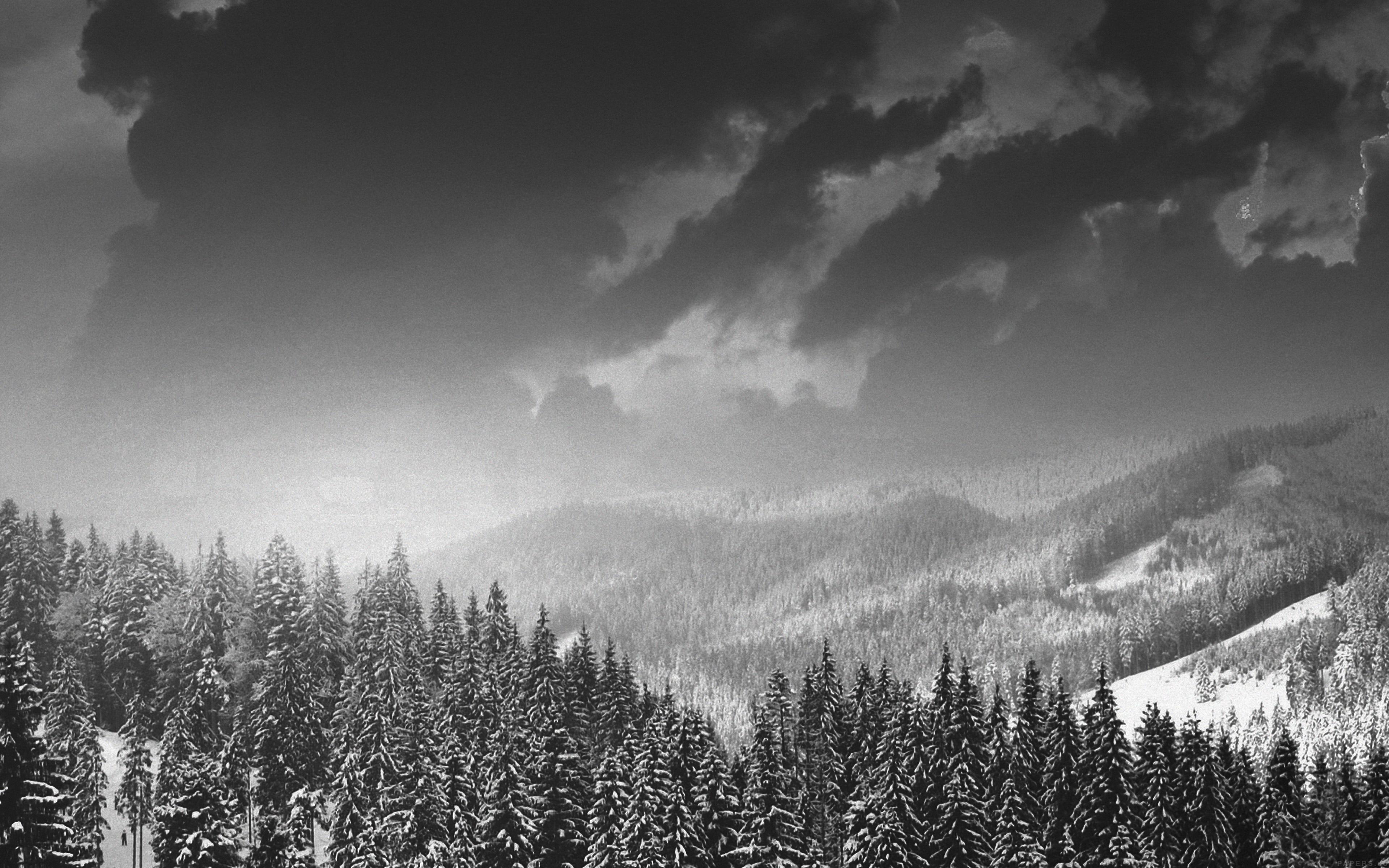 3840x2400 Winter Mountain Snow Dark Bw Nature Wallpaper