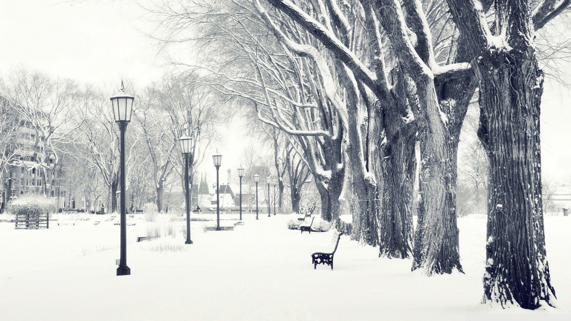 1920x1080 HD White Winter Wallpaper