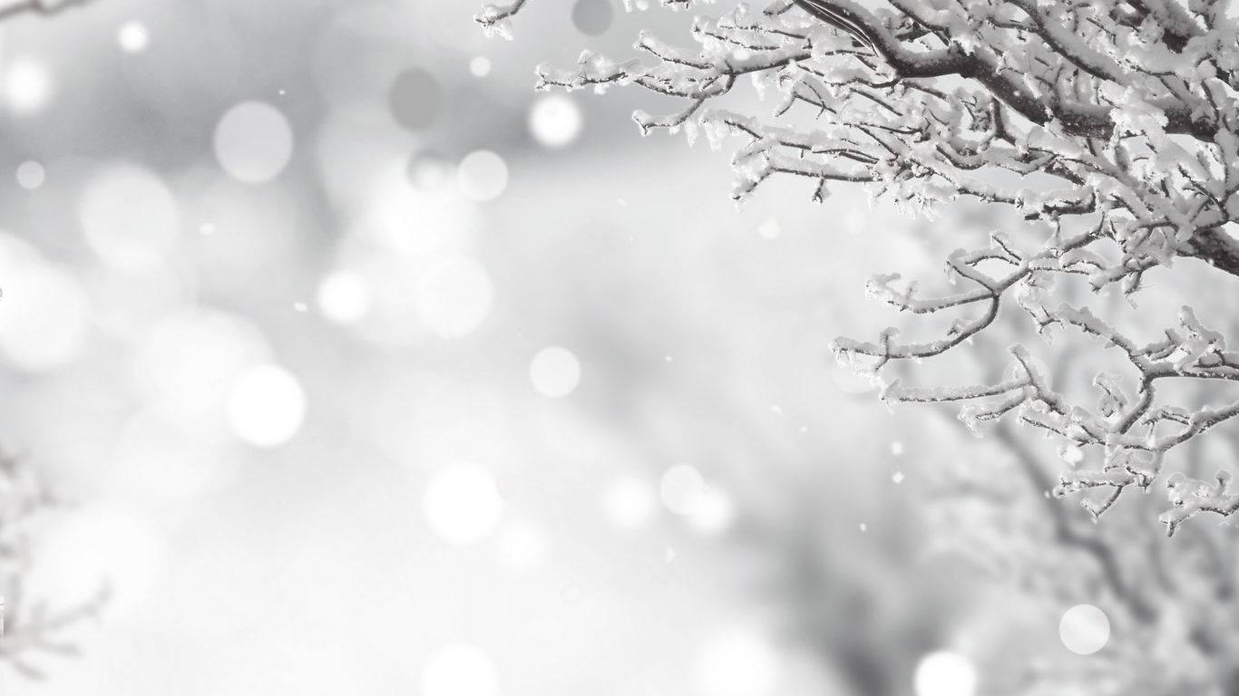 1366x768 Winter Wallpaper & Background For FREE