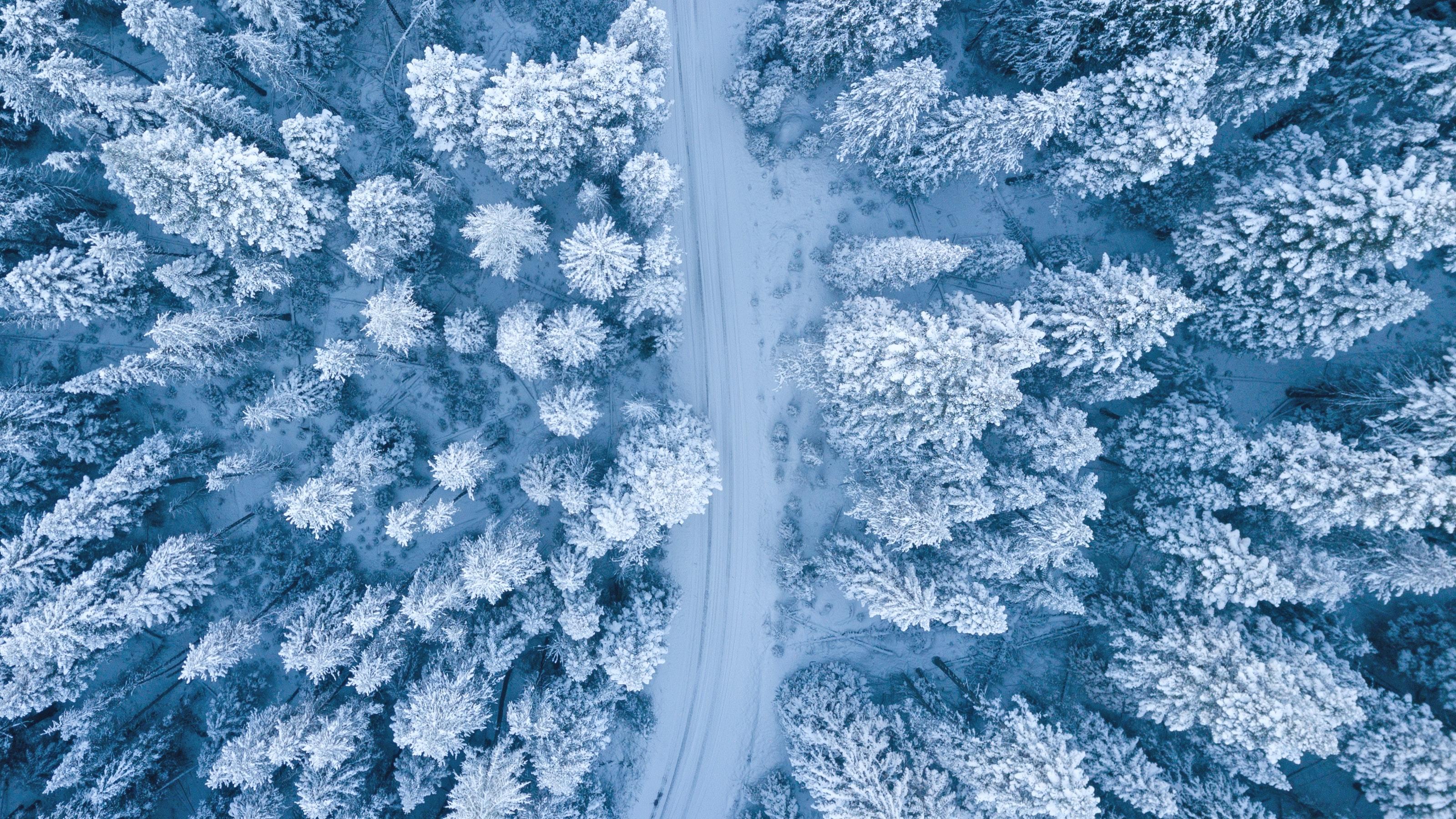 3200x1800 Winter Wallpaper Photo, Download Free Winter Wallpaper & HD Image