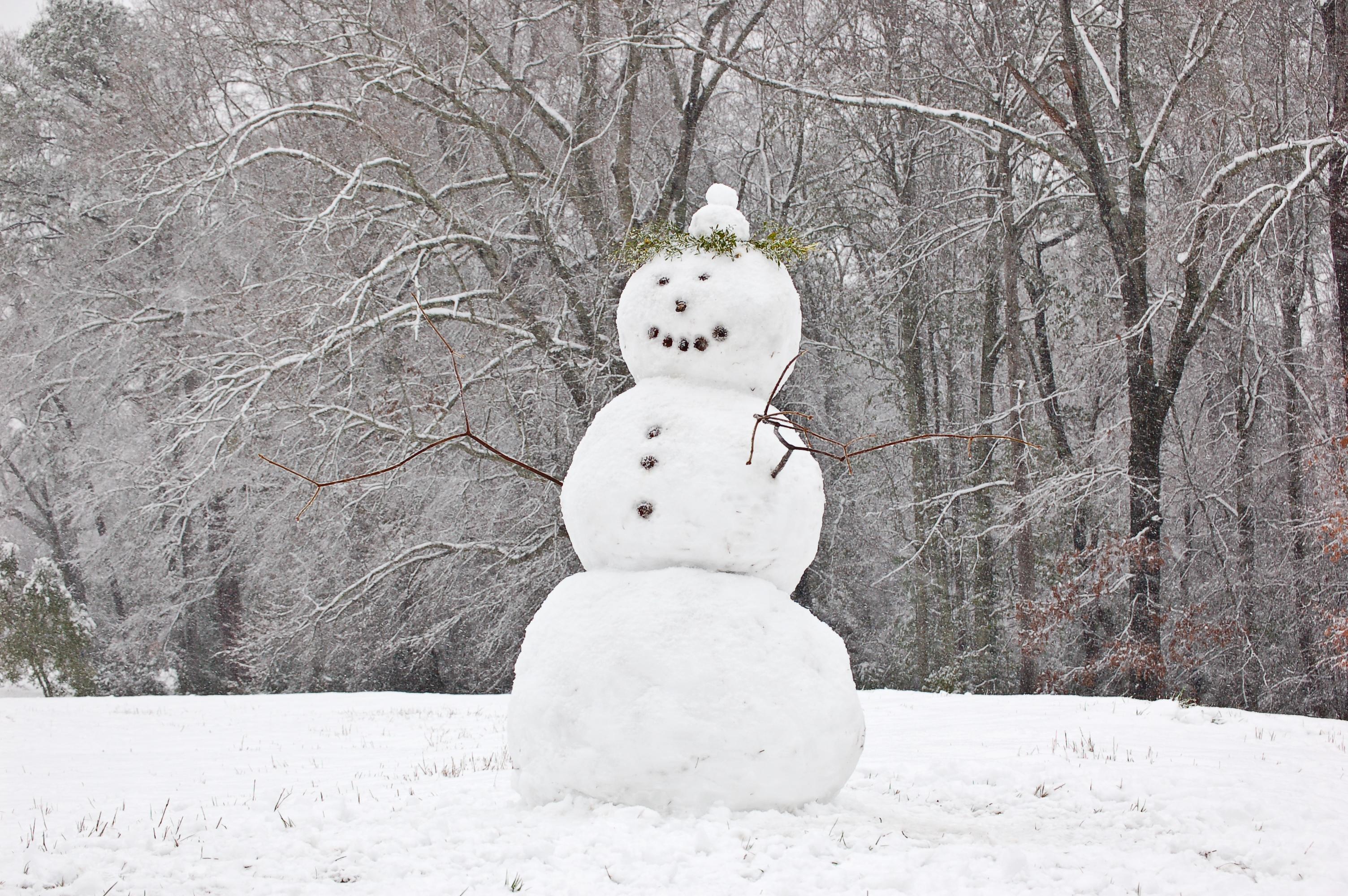 3008x2000 Free Black And White Winter Wallpaper, Download Free Black And White Winter Wallpaper png image, Free ClipArts on Clipart Library