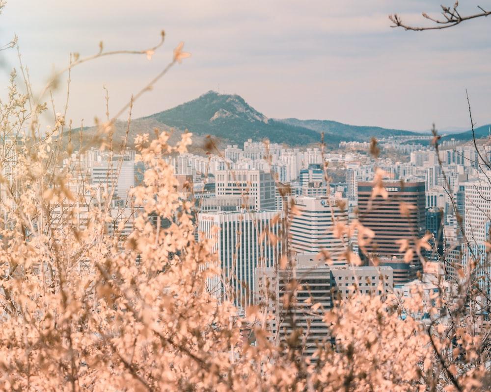 1000x800 Seoul Picture. Download Free Image