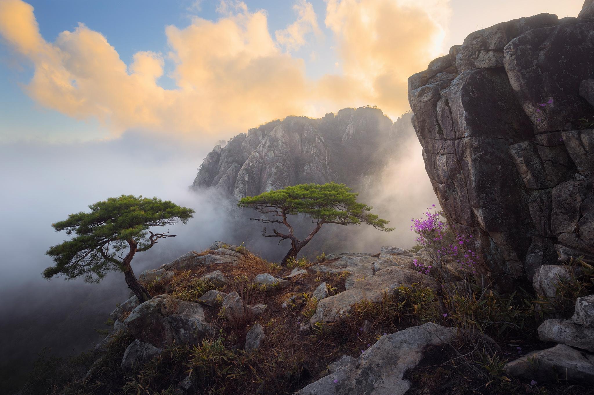 2048x1365 South korea Wallpaper