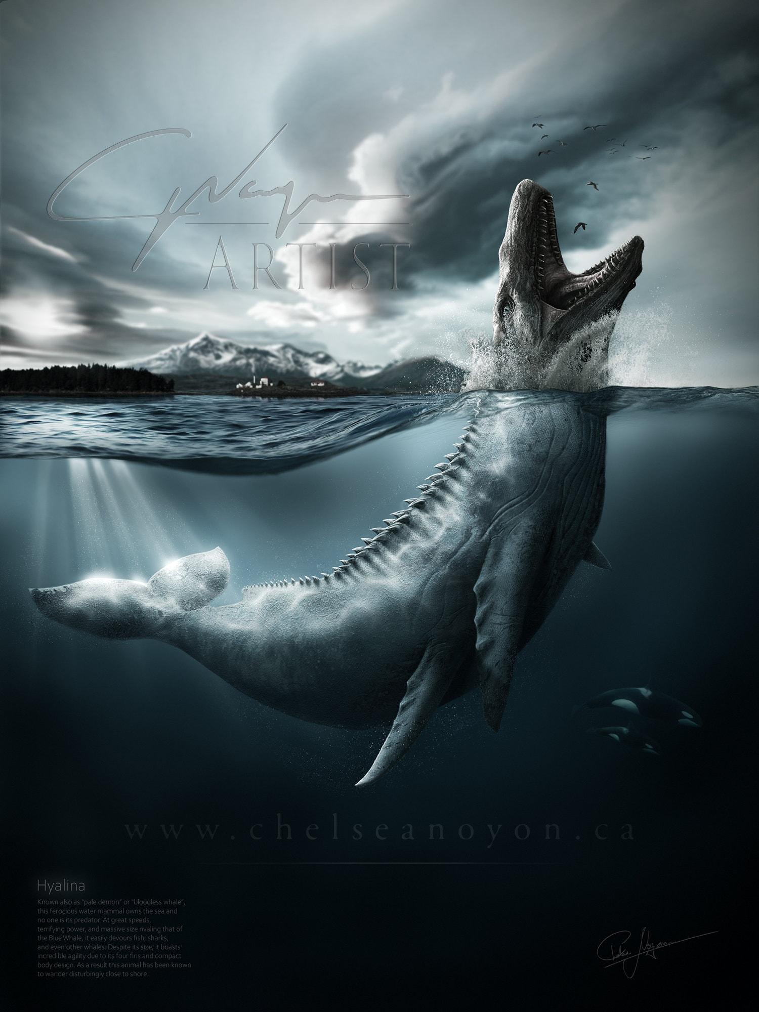 Whale Art Wallpapers - Top Free Whale Art Backgrounds - WallpaperAccess