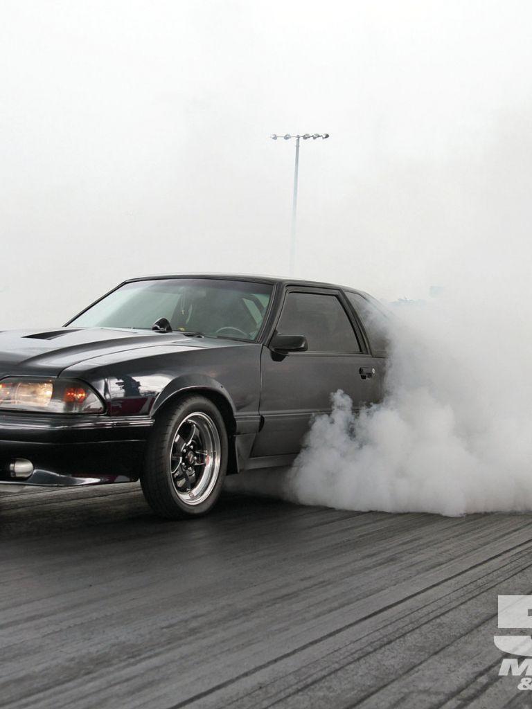 768x1024 Fox Body Wallpaper