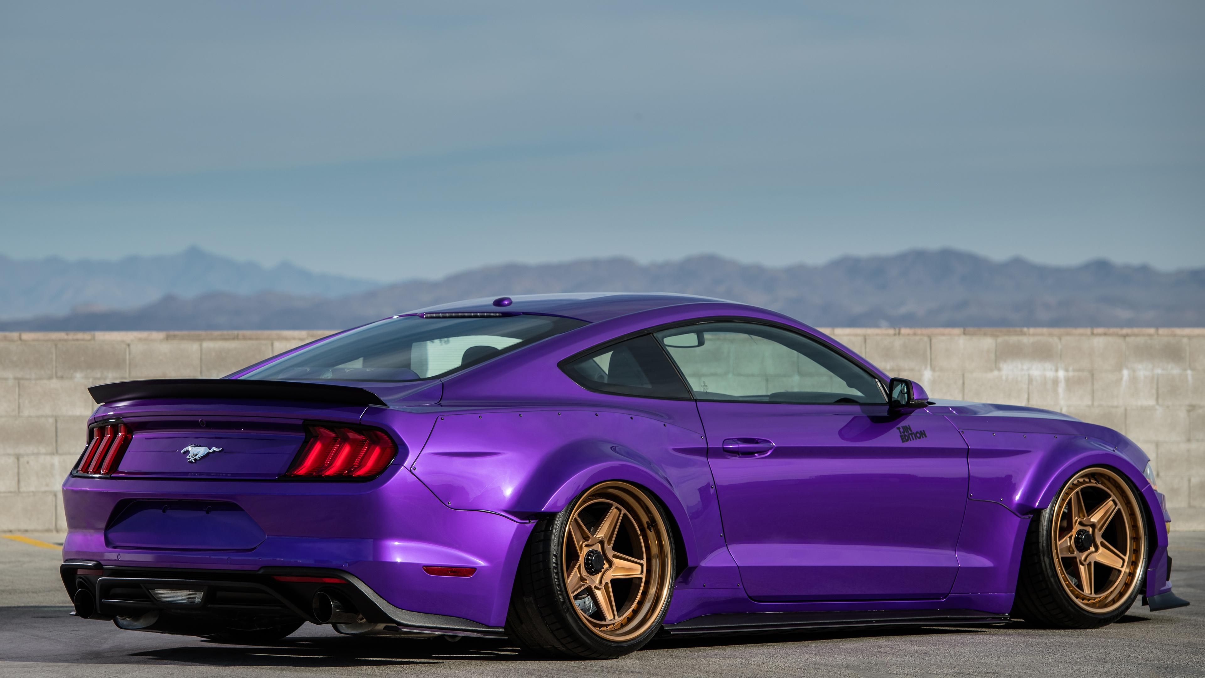 3840x2160 Wallpaper 4k TJIN Edition Ford Mustang EcoBoost 2018 Rear Wallpaper