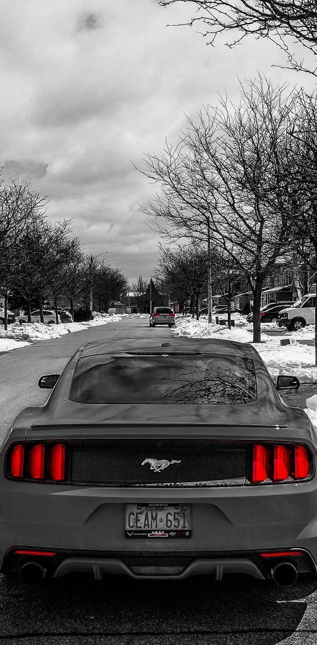 630x1280 Mustang Ecoboost wallpaper