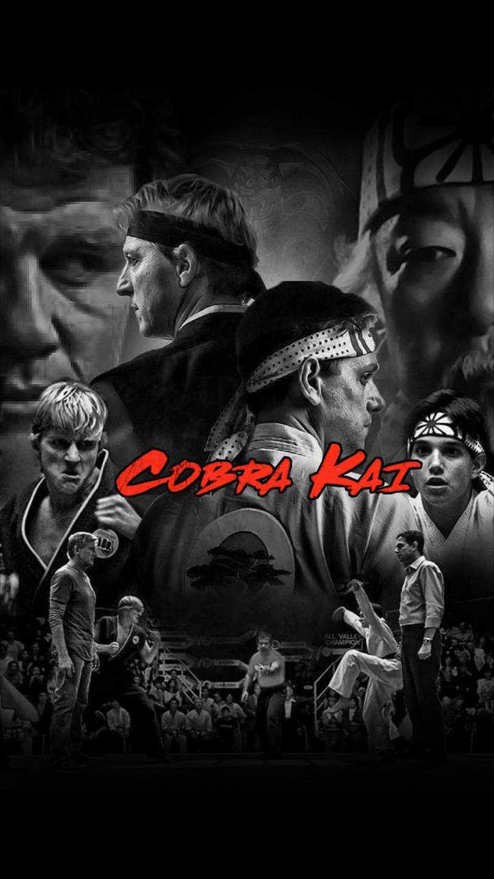 720x1280 Cobra Kai Wallpaper