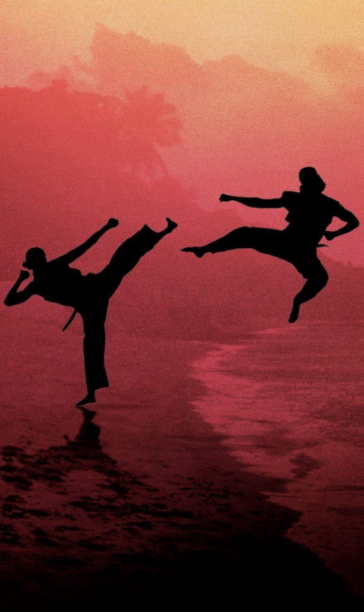 715x1200 Cobra Kai Wallpaper