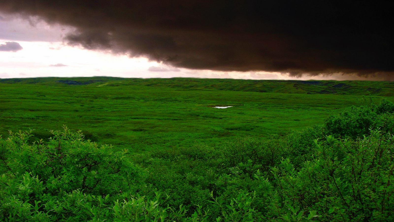 1600x900 Download wallpaper 1600x900 clouds, bad weather, cloudy, greens, wood, trees, kroner widescreen 16:9 HD background