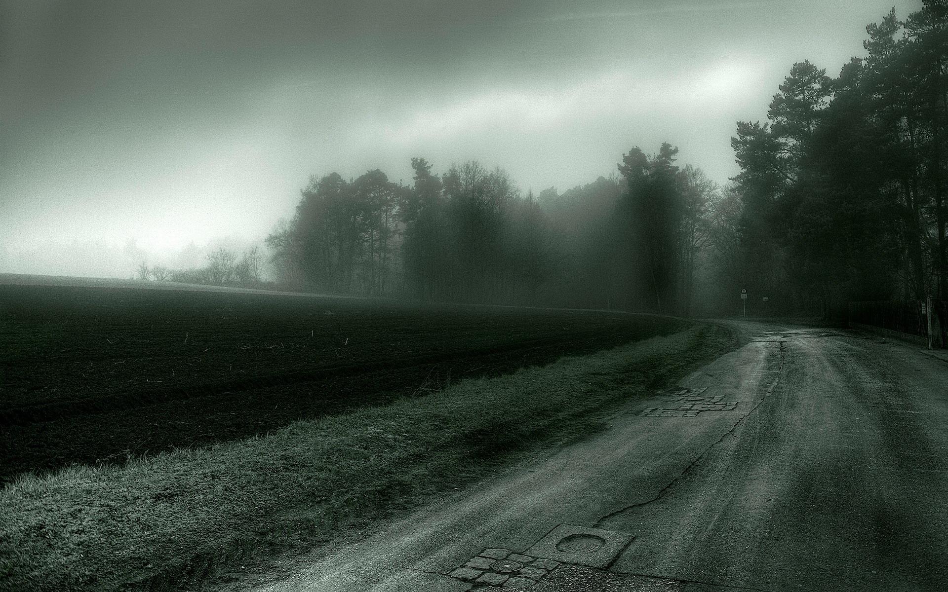 1920x1200 Foggy Gloomy Day Wallpaper