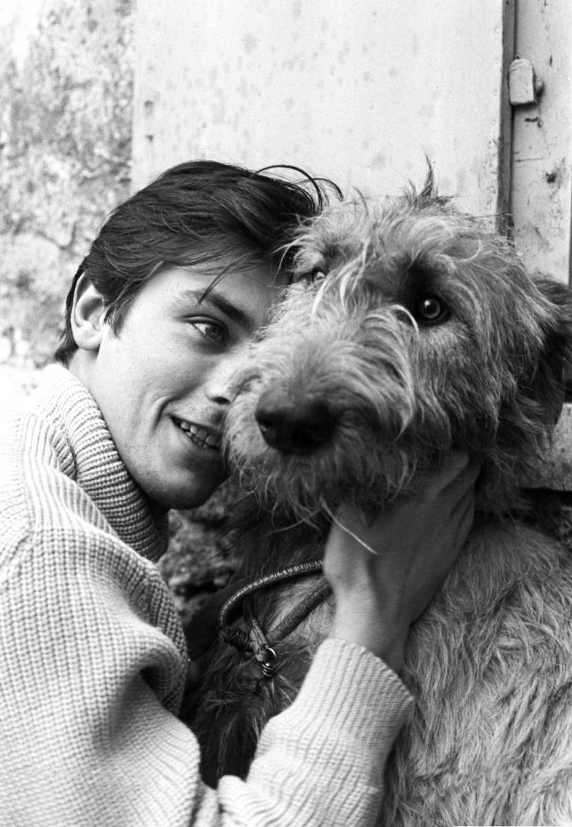 830x1200 Alain Delon wallpaper