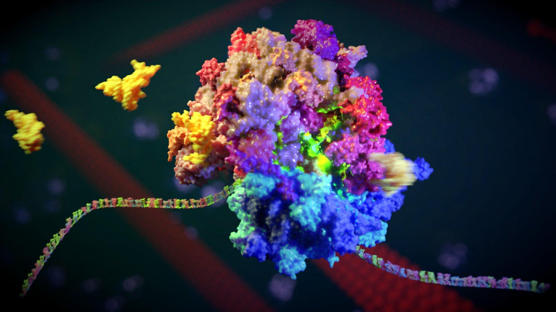 Ribosome Wallpapers Top Free Ribosome Backgrounds WallpaperAccess Ribosome Wallpapers Top Free Ribosome Backgrounds WallpaperAccess