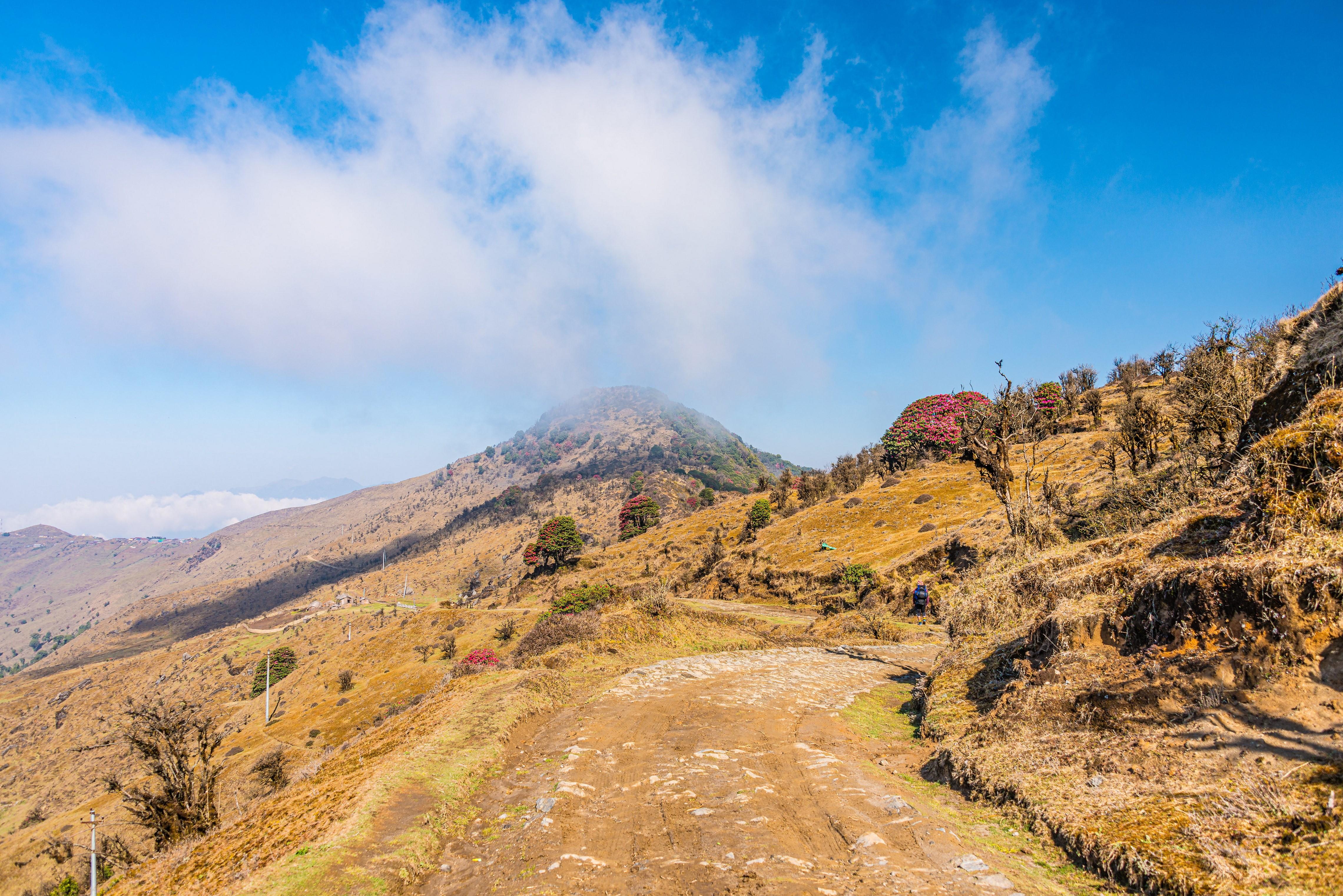 Indian mountain. Тропа в горах. Сингалила. Обои на рабочий стол Индия. Гора каланка Индия.