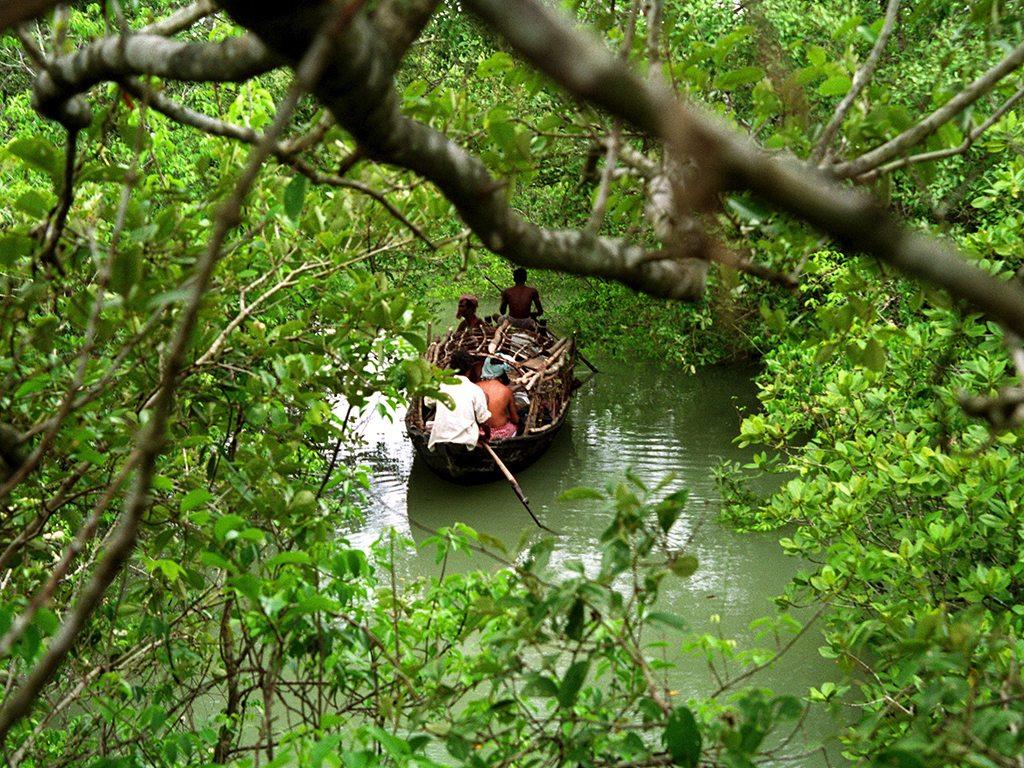 1024x768 Free download West Bengal Getaways for the Culture Nature and Ocean Lover Nat [1024x768] for your Desktop, Mobile & Tablet. Explore Sunderbans National Park Wallpaper. Sunderbans National Park Wallpaper