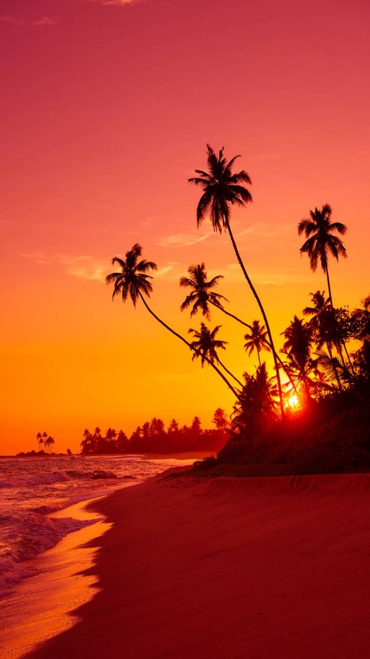 720x1280 Incredible Southeast Asian countries to visit. Times of India