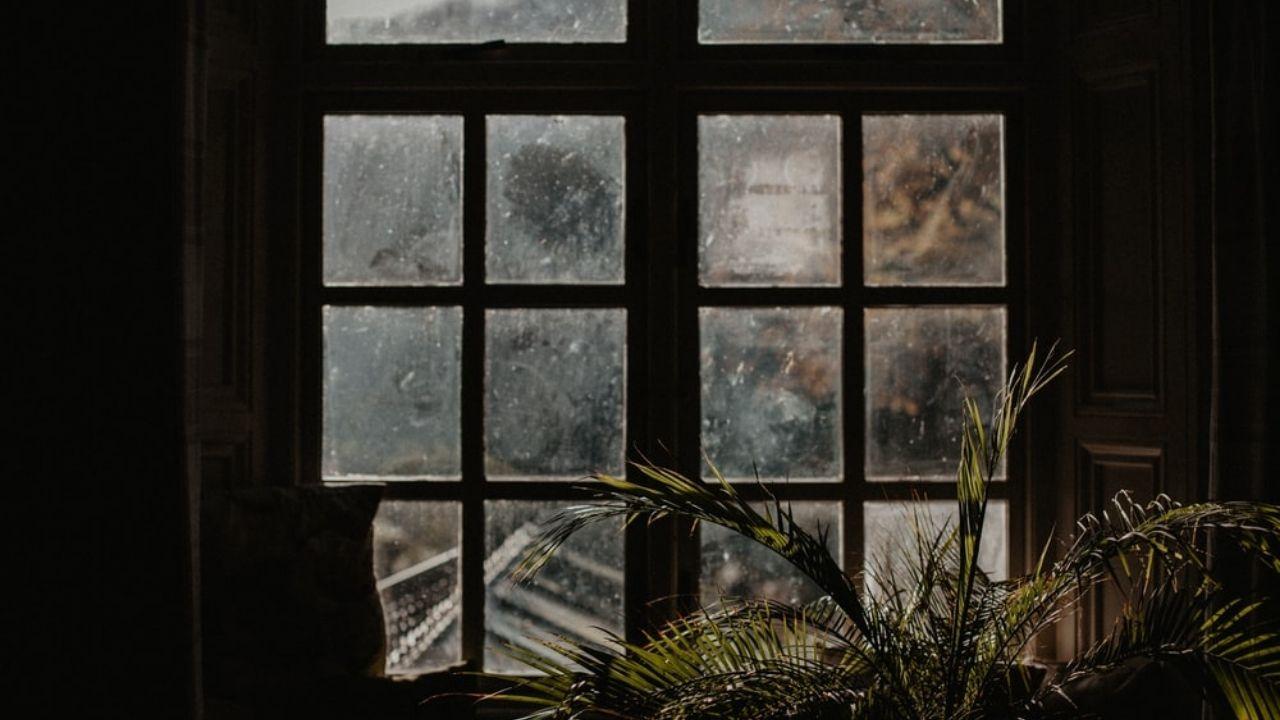 1280x720 Dark Academia: An Exploration Through Photographs