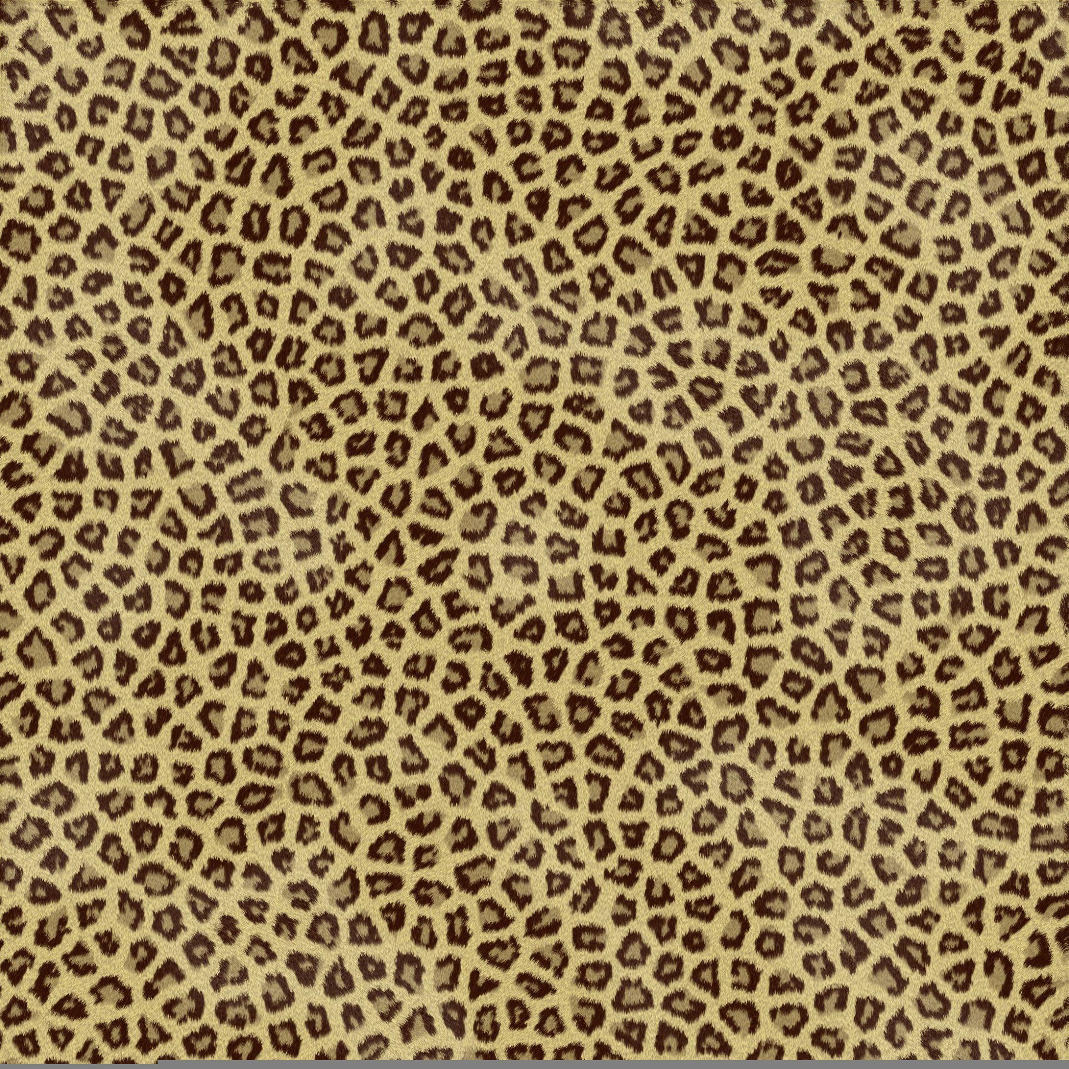 Animal Print Wallpapers - Top Free Animal Print Backgrounds