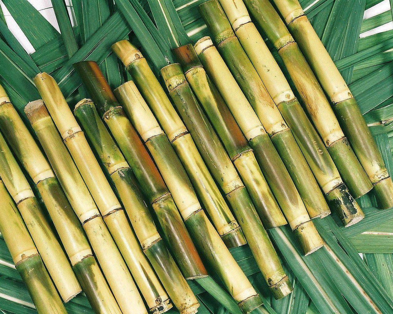 1280x1024 Sugar Cane Wallpaper