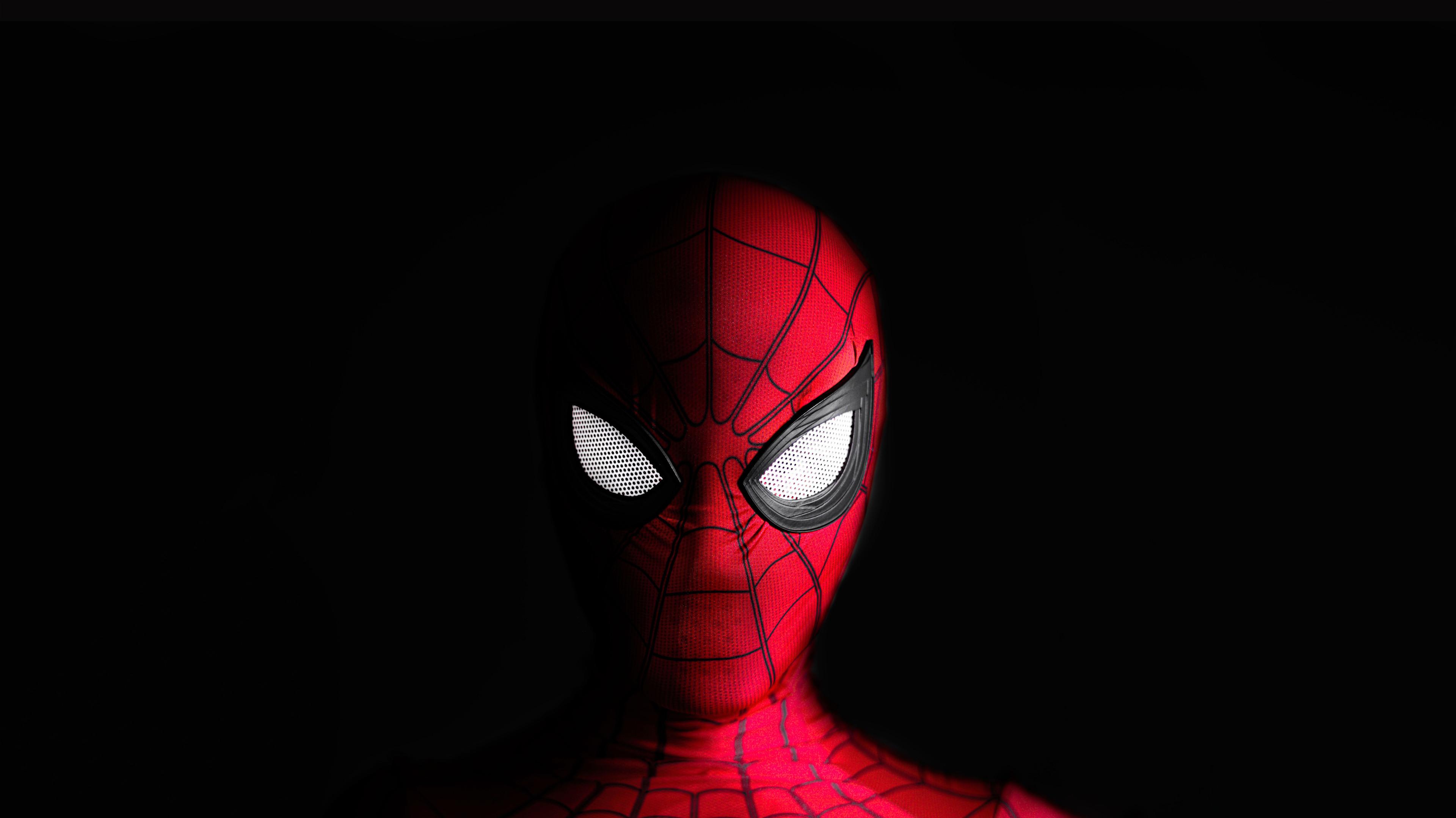 3840x2160 Spiderman Self Portrait 4k HD 4k Wallpaper, Image, Background, Photo and Picture