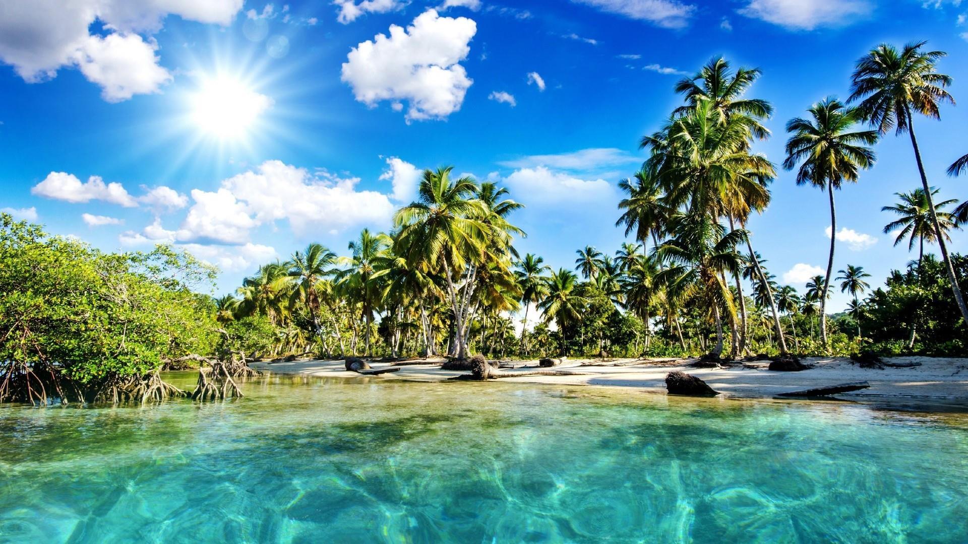 1920x1080 Kerala lagoon with palms, India wallpaper