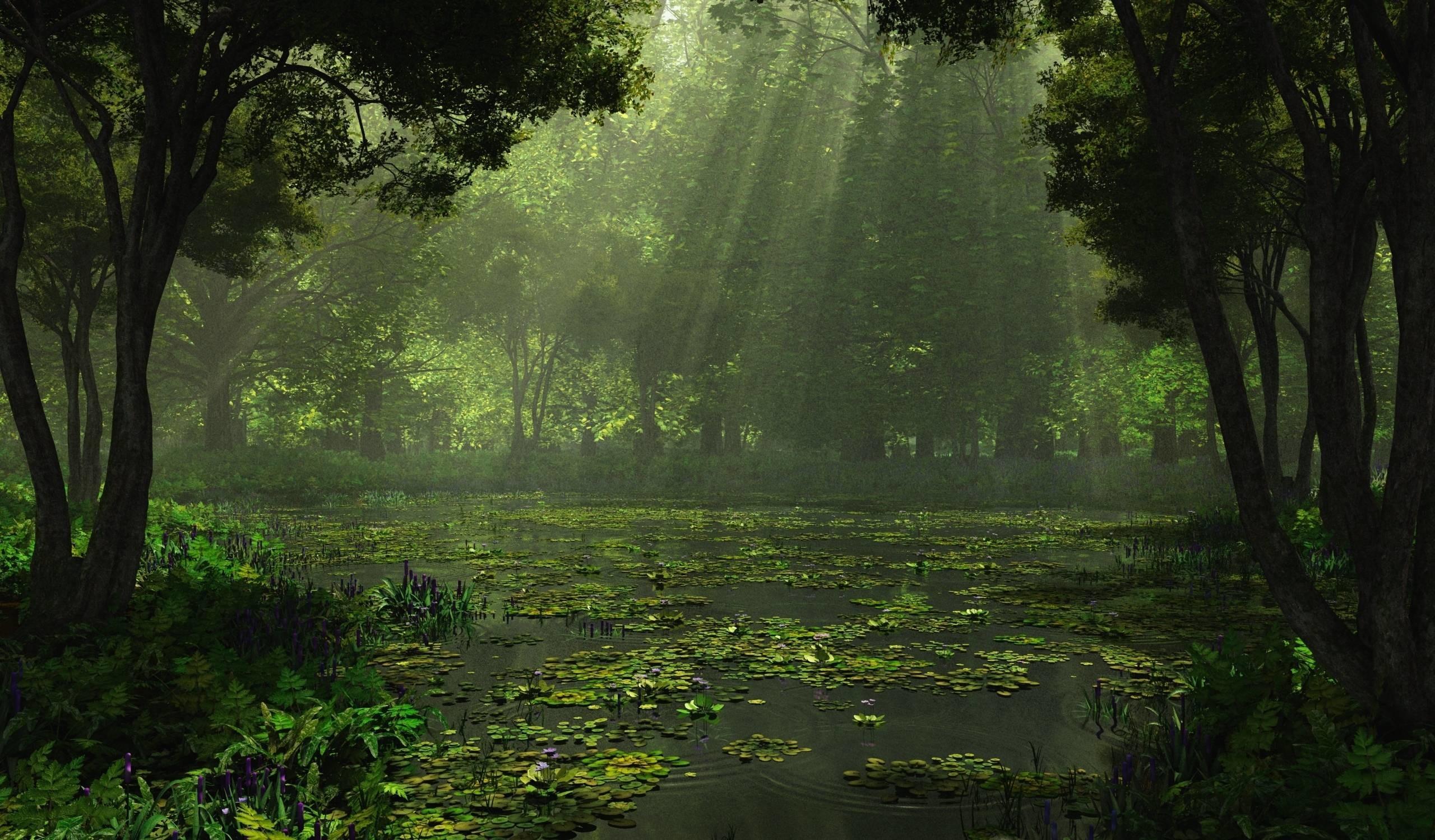 2560x1500 Nature Wallpaper