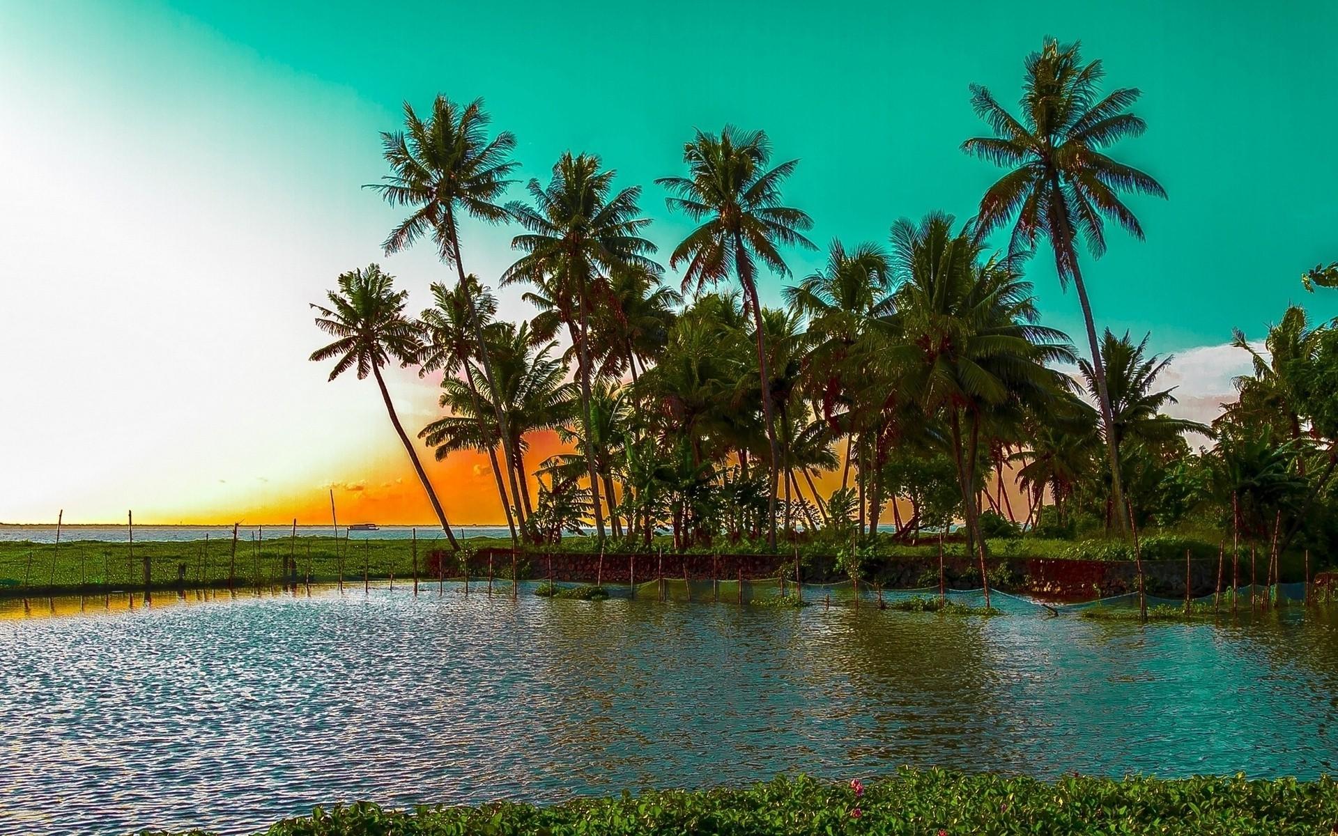 1920x1200 nature landscape sunset beach trees sea sky water colorful wallpaper