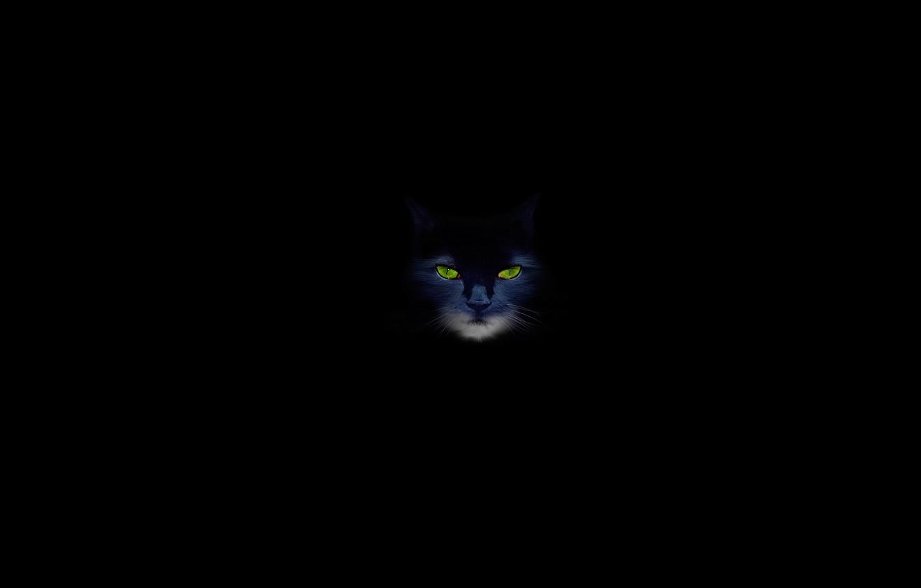 1332x850 Wallpaper cat, cat, black background, green eyes image for desktop, section минимализм