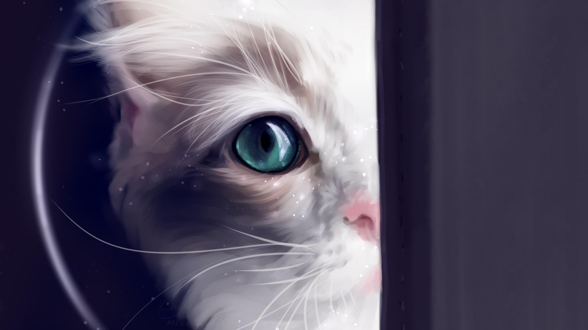 2059x1158 Cat Behind Green Eyes, HD Animals, 4k Wallpaper, Image, Background, Photo and Picture