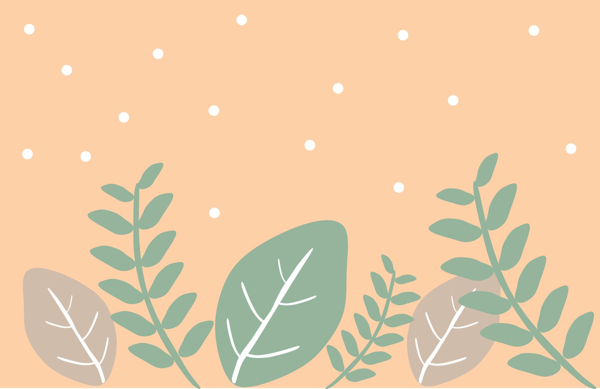1920x1246 tropical leaves pastel colour isolated on peach background. Winter theme, bestvector for wallpaper and backdrop