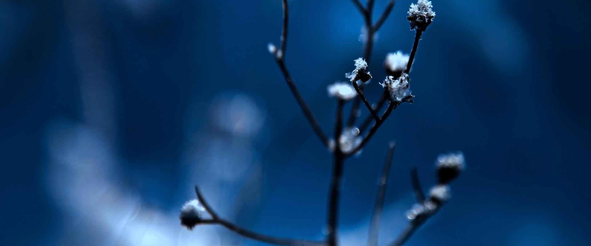 1920x800 Blue Wallpaper. Shop The Best Blue